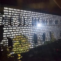 Refugium, Lichtprojektion Kreuzgang Dom, Lichtungen Hildesheim, 2015, Foto: Sara Förster